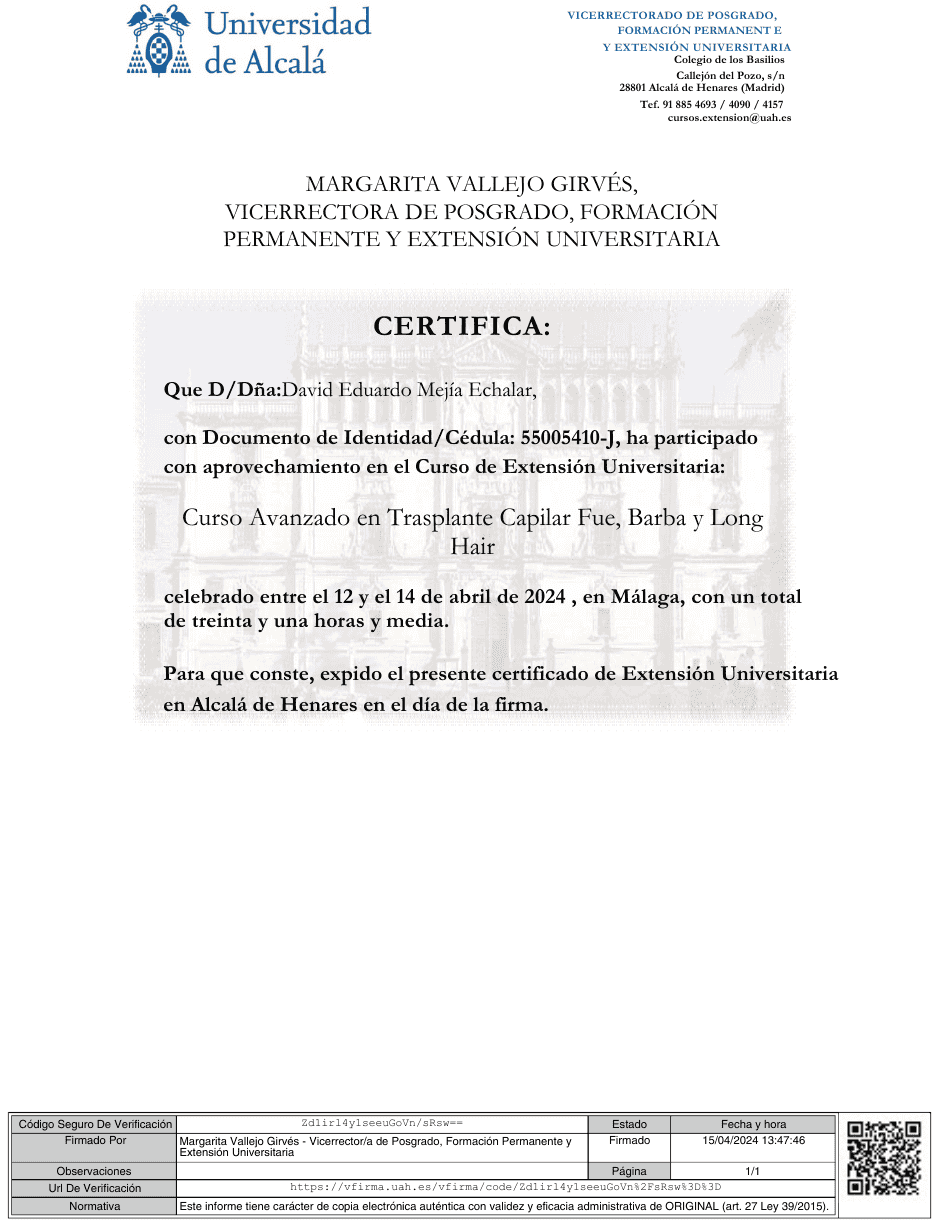 Inserir um subtítulo (12)